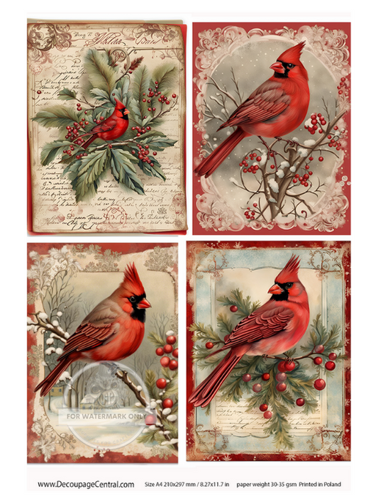 Christmas Cardinal Collection 4 images one page