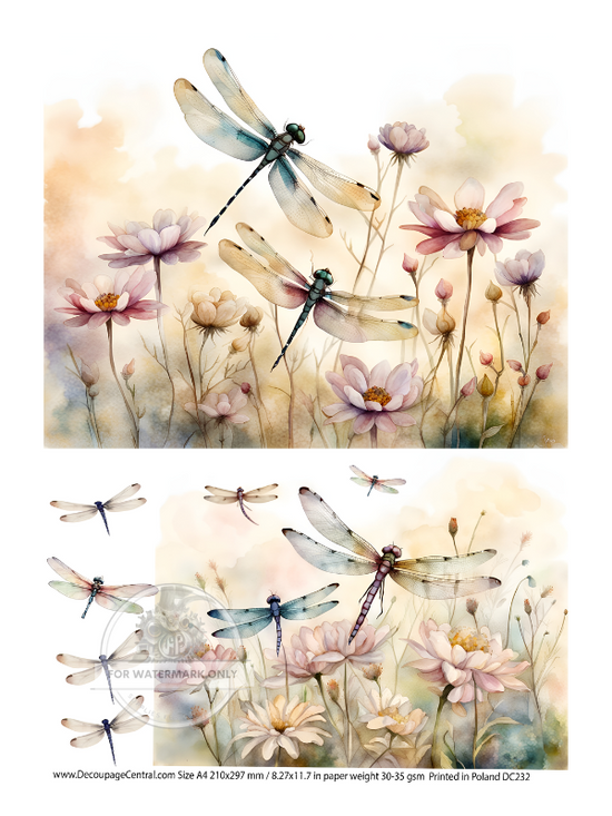 Dragonfly Fields Duo Rice Paper